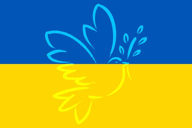 Charity-Event des STRG für die Ukraine