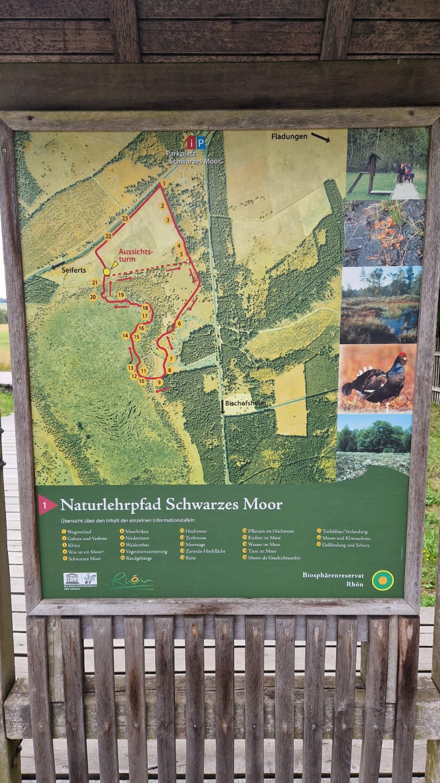 PHOTO 2026 09 23 13 13 30 5
